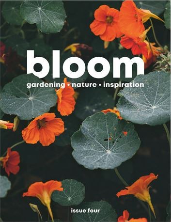 Magazine_outdoor_bloom